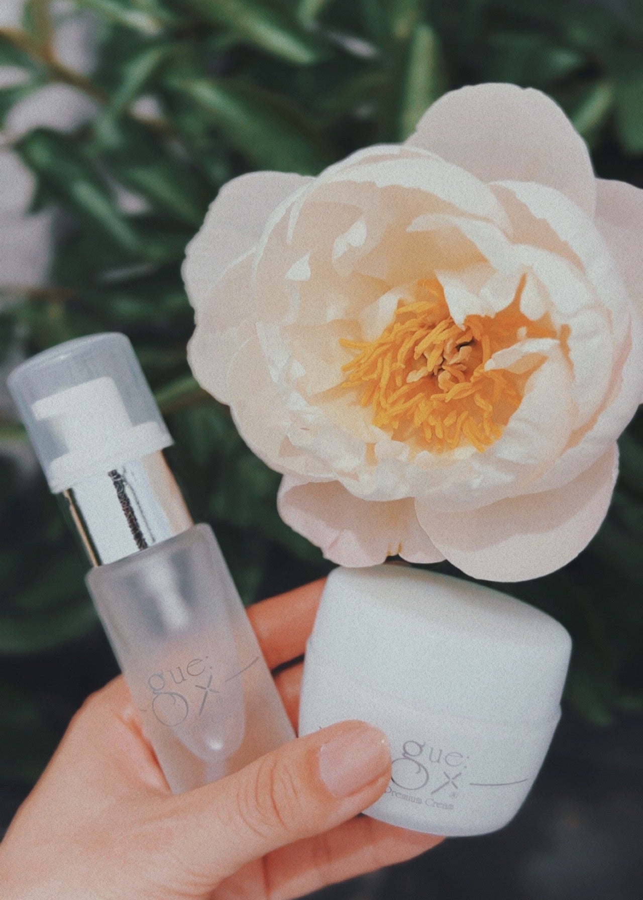 ギュープレミアムオイル & クリーム  - Premium Oil & Cream -